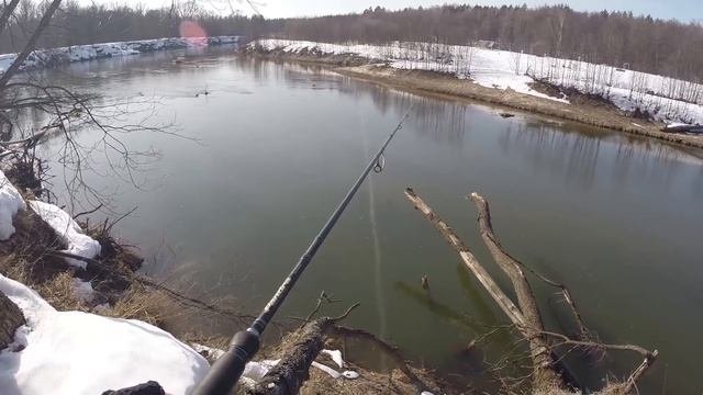 Щука на спиннинг весной. Выбор цвета приманки. Видео отчет от 21 марта 2017 г.