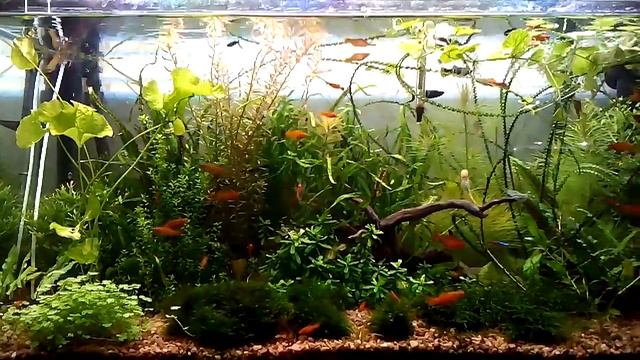 Сравнение спектров светильников смотреть онлайн