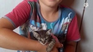 У котенка отказали задние лапки… И только девятилетний мальчик придумал, как ему помочь