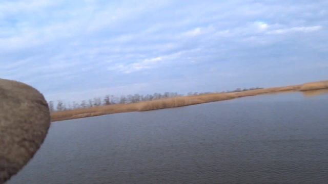 Охота на утку с Беретта А 400. Gemini 0,38 максимальный предел смотреть онлайн