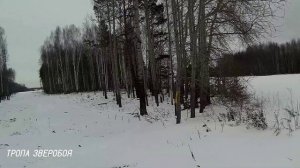 ПОВТОРНО ВЫТРОПИЛ ПОДНЯТОГО ЗАЙЦА