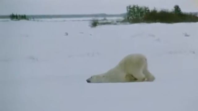 Я иду на работу смотреть онлайн