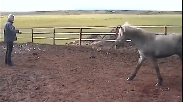 Unser Islandurlaub in Egilsstadir 1 смотреть онлайн