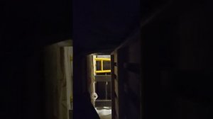 вызываем смайл Дога