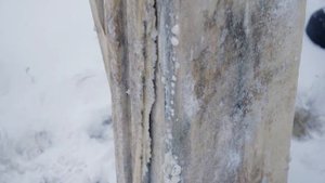 Письмо Потомкам - Сок-95 и ВПО-129. Сравнение 7.62 х 51 и 7.62 х 54R