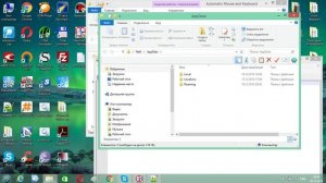 Сброс trial Automatic Mouse and Keyboard