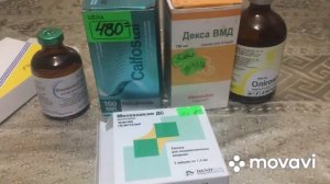 Перелом ноги у свиноматки.