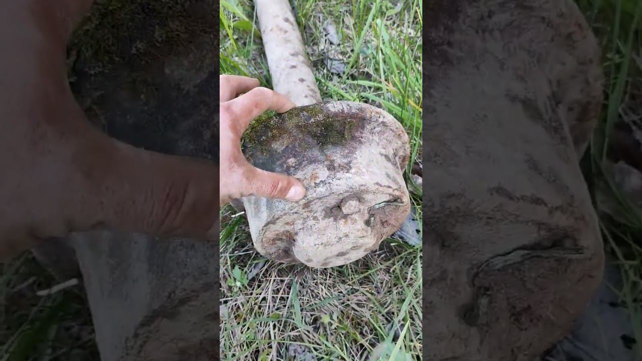 Металокоп!!! 70кг одним сигналом. смотреть онлайн