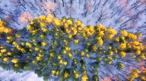 Осенние верхушки