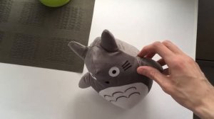 Про Тоторо