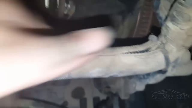 cambio correa distribución peugeot partner 1.9d смотреть онлайн