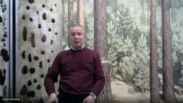 Российский музей леса. Тема: «День работника лесного хозяйства»