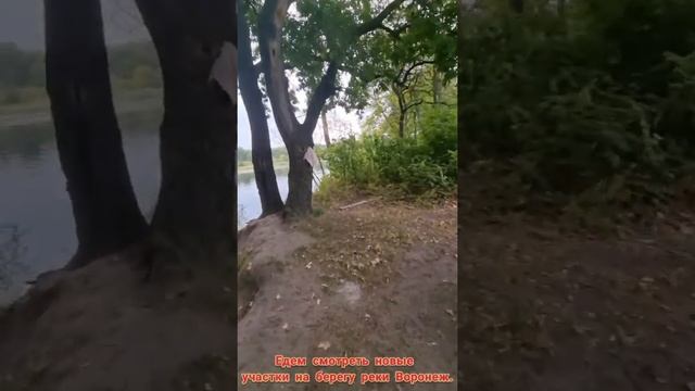 дом в Воронеже. что у нас происходит и на каком этапе?