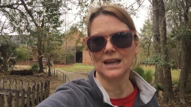 Fontainebleau State Park, Mandeville, Louisiana смотреть онлайн