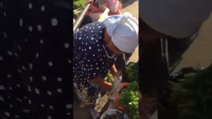 АСТРАХАНЬ...РЫНОК" БОЛЬШИЕ ИСАДЫ"