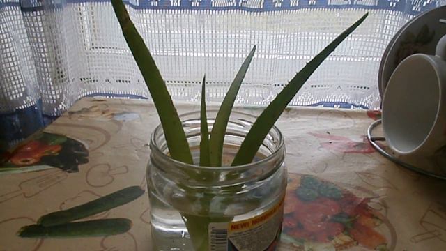 Нашла алое смотреть онлайн