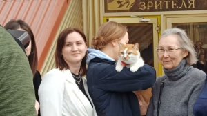 кот Мостик, помните такого? #евпатория #котмостик #тюзевпатория