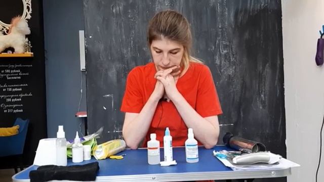 Сборник МК груминг Котиков. Отрывки.