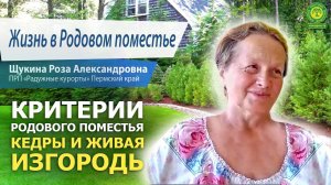 Кедры и живая изгородь