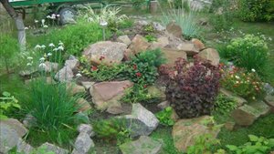 Создаем свой альпинарий