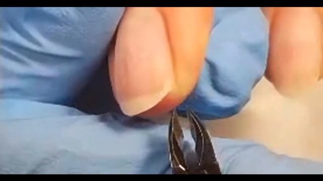 Срез кутикулы кусачками смотреть онлайн
