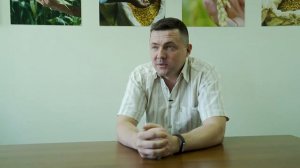 Можно ли вносить гербициды, если соя в фазе до 2-3 листьев, а марь белая высотой 5 см?