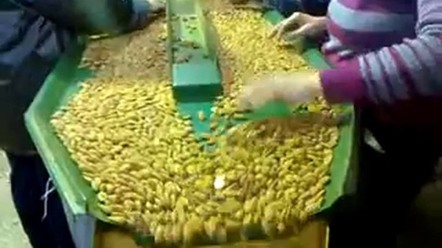 Makin Орехи - Миндаль смотреть онлайн