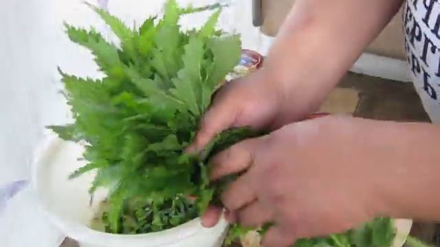 от кароновируса в самоизоляции витаминный майский салат из трав. смотреть онлайн