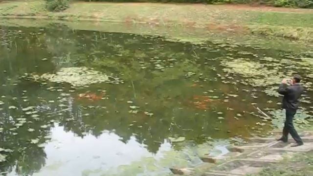 Экскурсия в Умань. часть 1 смотреть онлайн