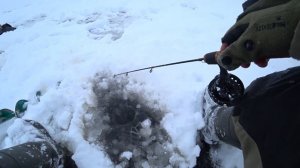 Ловля судака зимой на ралины и вибы!! Незабываемая рыбалка! Леска трещала от поклевок!2022