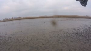 СОМ 24 КГ НА СПИННИНГ НА  ДЖИГ с Марьино.