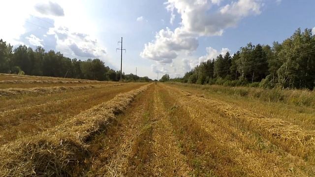 Blog: Первый раз, сел за руль мотоцикла смотреть онлайн