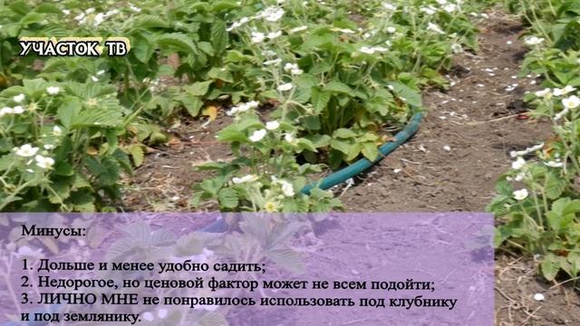 Посадка Рассады в Агроволокно - ПЛЮСЫ и МИНУСЫ На Личном Опыте - СТОИТ ЛИ МУЧИТЬСЯ смотреть онлайн