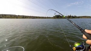 Рыбалка на мандулу.  Мы его взяли!!! Спиннинг в сентябре. ПрофМонтаж рулит!!!