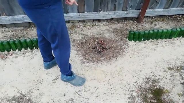 Кусты смородины и луковая грядка. Меняем опалубку на грядках смотреть онлайн