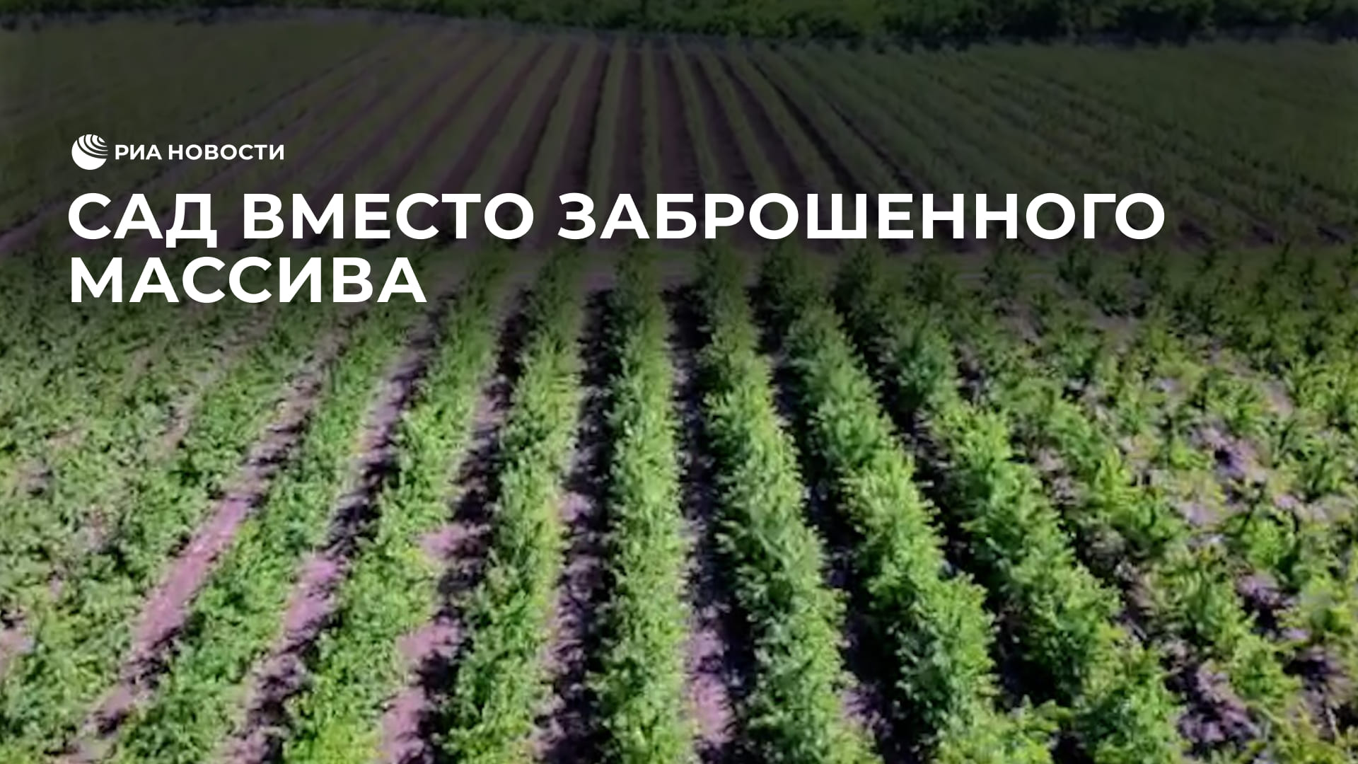 Бизнесмены облагородили землю под Волновахой