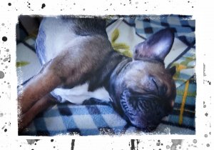 Мегги познаёт мир????