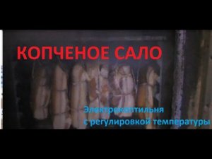 Копчение сала в электрокоптильне с регулятором температуры.