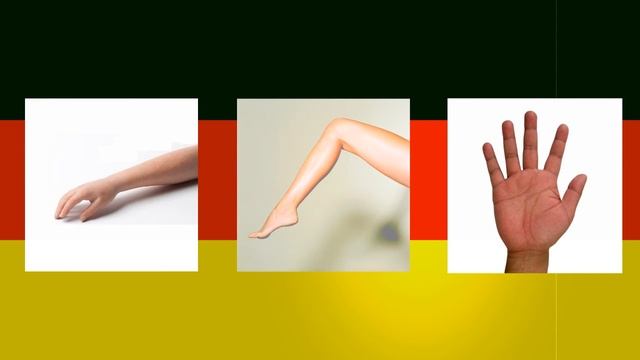 Урок немецкого языка №1| Части тела. Новая методика обучения смотреть онлайн