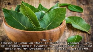 Тушеная картошка со свининой к кастрюле