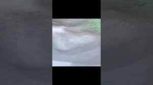 🛁🚿 Ванна 🧽🫧