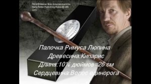 Волшебные палочки персонажей Гарри Поттера