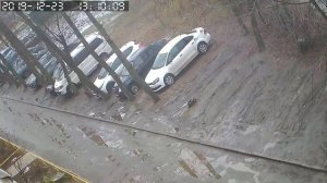 Погода в Череповце Вологодской области