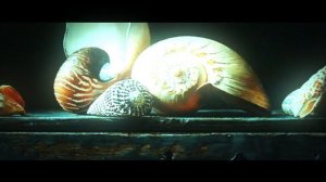 Аркадий и Борис Стругацкие "улитка на склоне"