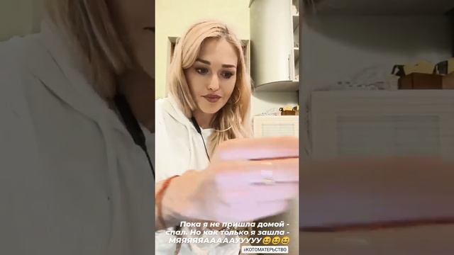 Кот Лео очень любит кушать - кормлю козьим молоком и паштетом для котят смотреть онлайн