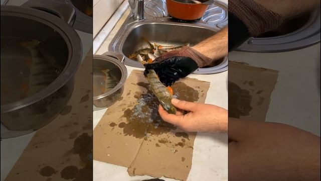 2-й в Топе способов чистки окуня. Как легко удалить чешую и внутренности окуня. смотреть онлайн