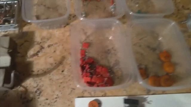 Телевизор "Электроника 25ТЦ 313д" разбор на детали. смотреть онлайн