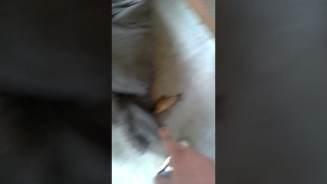 удачная рыбалка смотреть онлайн