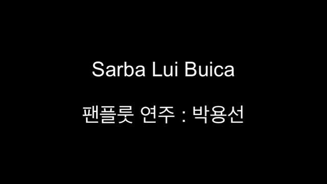 Sarba Lui Buica, 팬플룻 연주, Pan flute Play - Valy - Track.10 смотреть онлайн