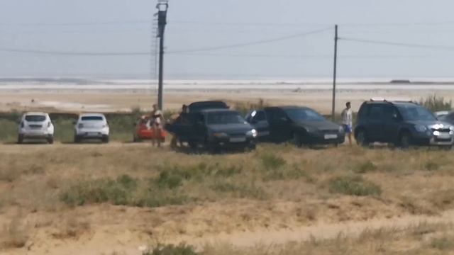 Контролируемое спаривание пчелиных маток породы Бакфаст. Астраханский земельный облетник. смотреть онлайн